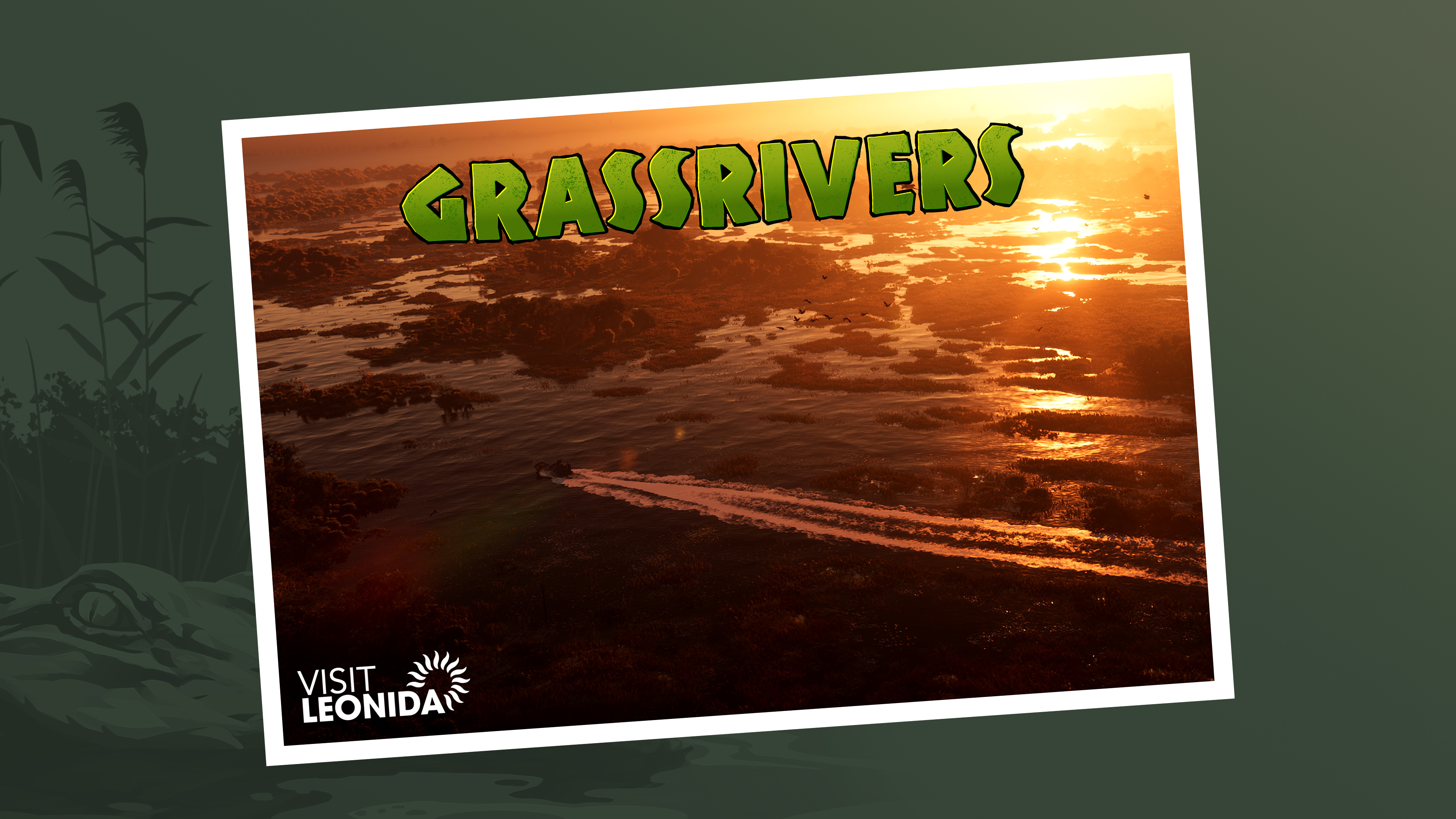 Grassrivers postcard